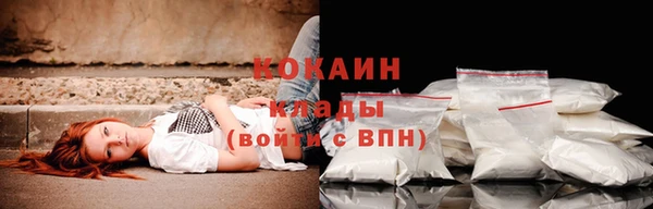 гидра Волосово