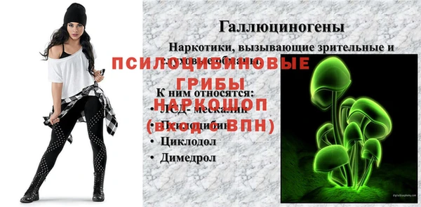 Альфа ПВП Протвино
