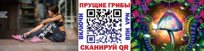 Псилоцибиновые грибы Magic Shrooms закладка сайты даркнета формула Карабулак