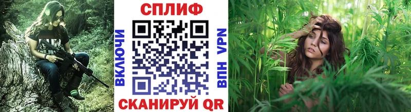 Конопля Bruce Banner  где купить наркотик  Карабулак 